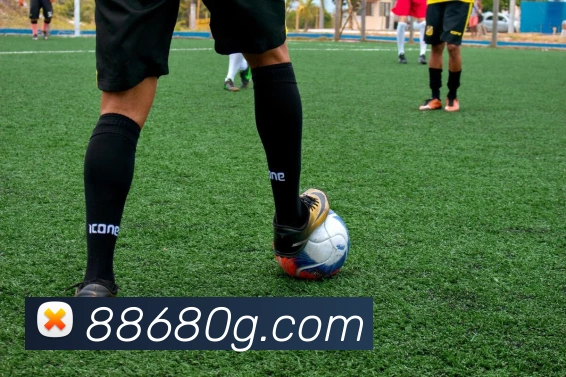 未来规划